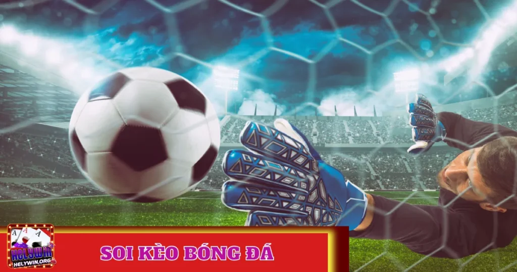 Phân Tích Chi Tiết Các Loại Kèo